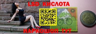 прущие грибы Камышлов