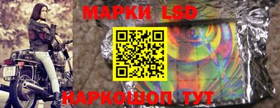 прущие грибы Камышлов