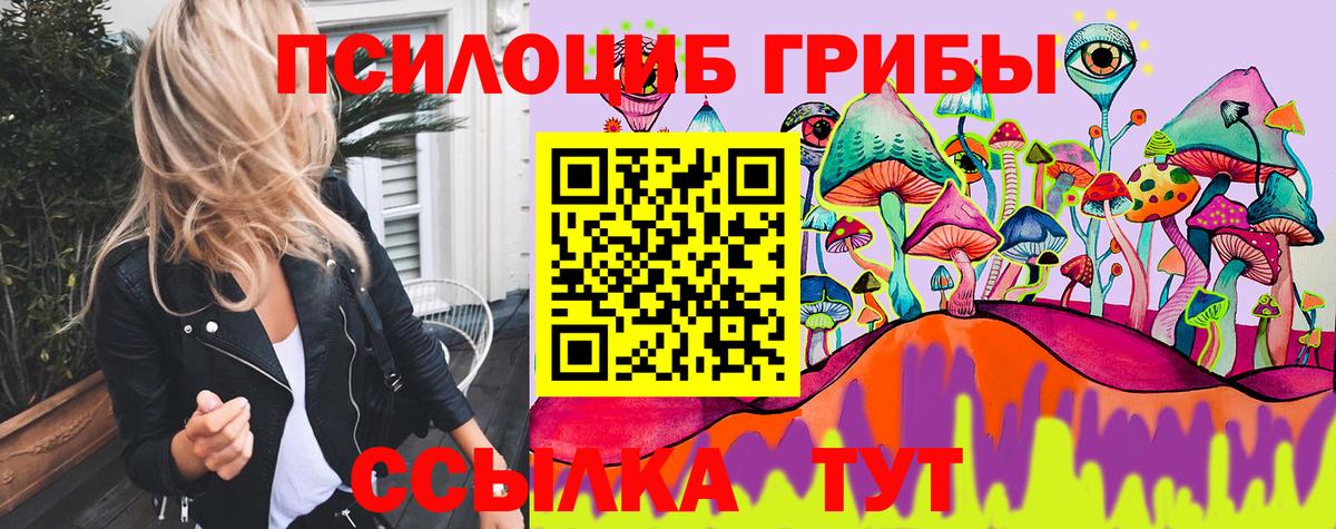 Псилоцибиновые грибы прущие грибы Заволжье