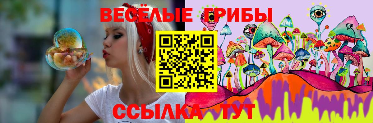 Заволжье  Галлюциногенные грибы Cubensis  Вход с VPN  Галлюциногенные грибы Cubensis 